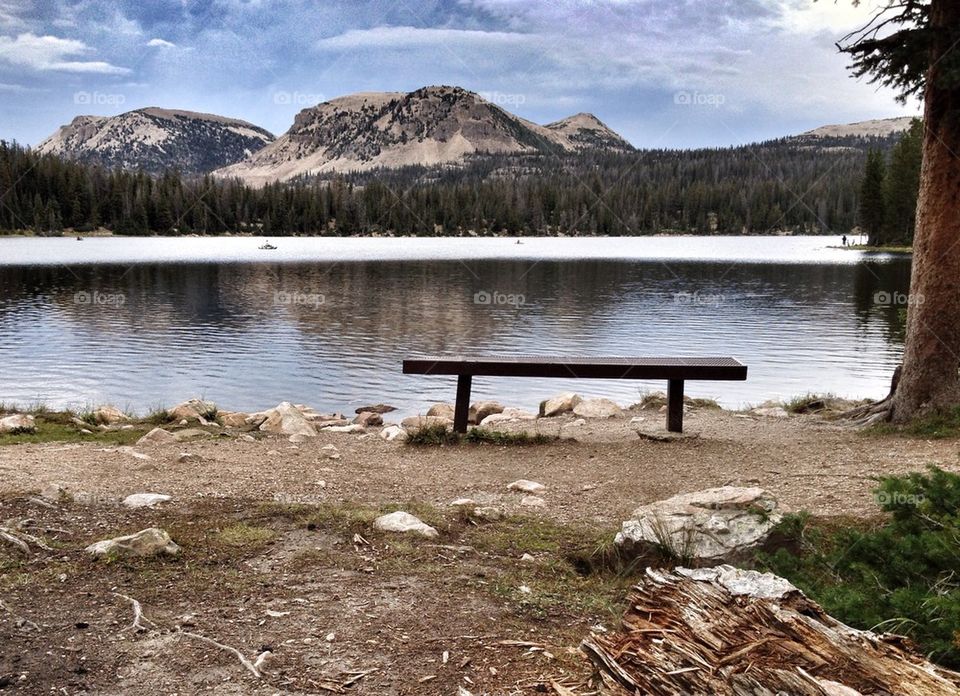 Empty bench near riverside