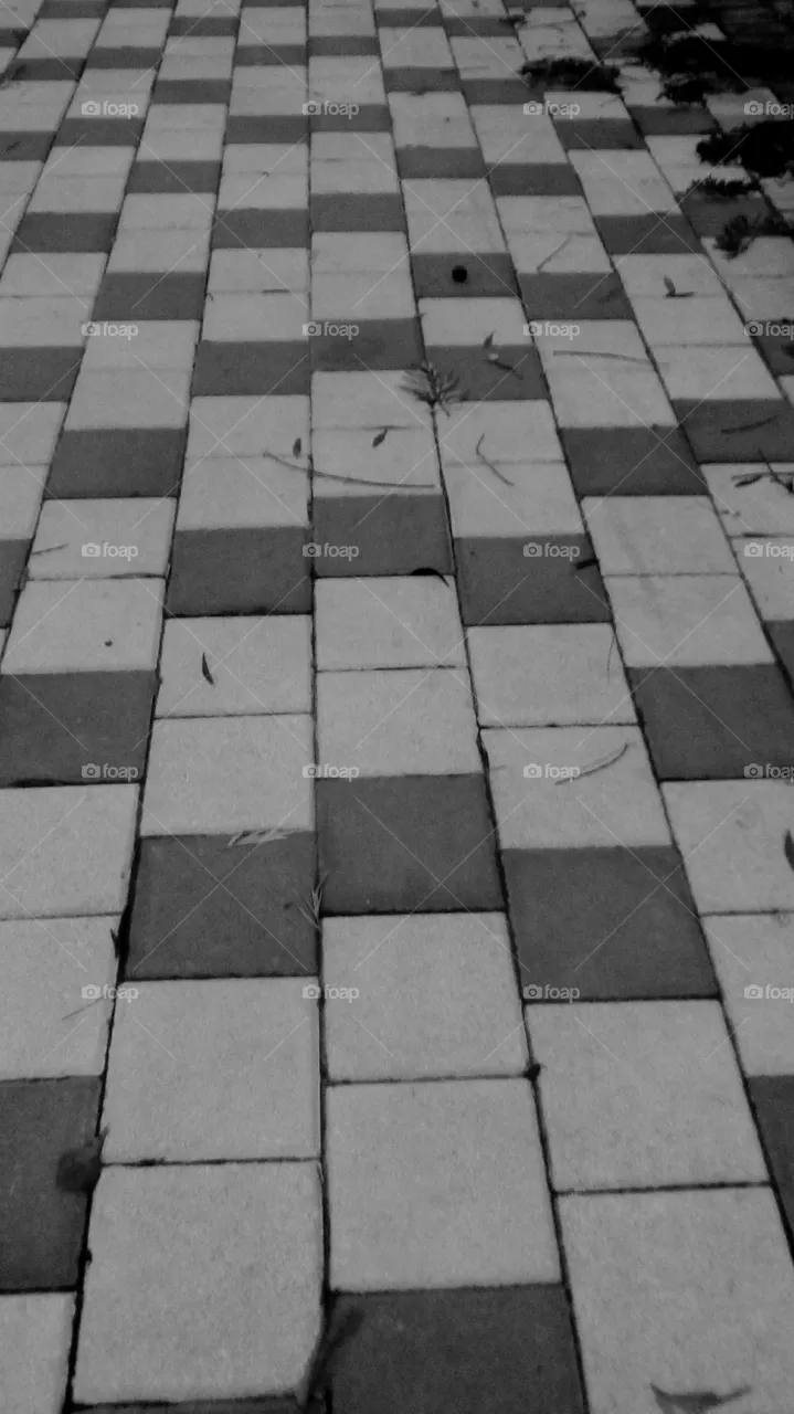 Pavement