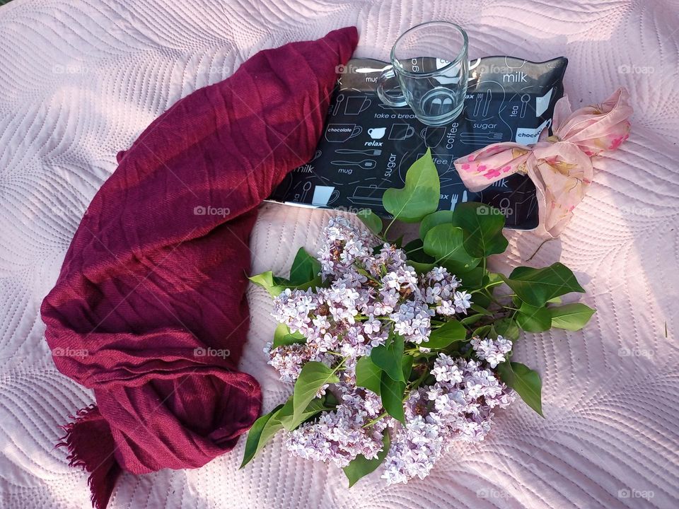 Urban Nature: picknick in the Park