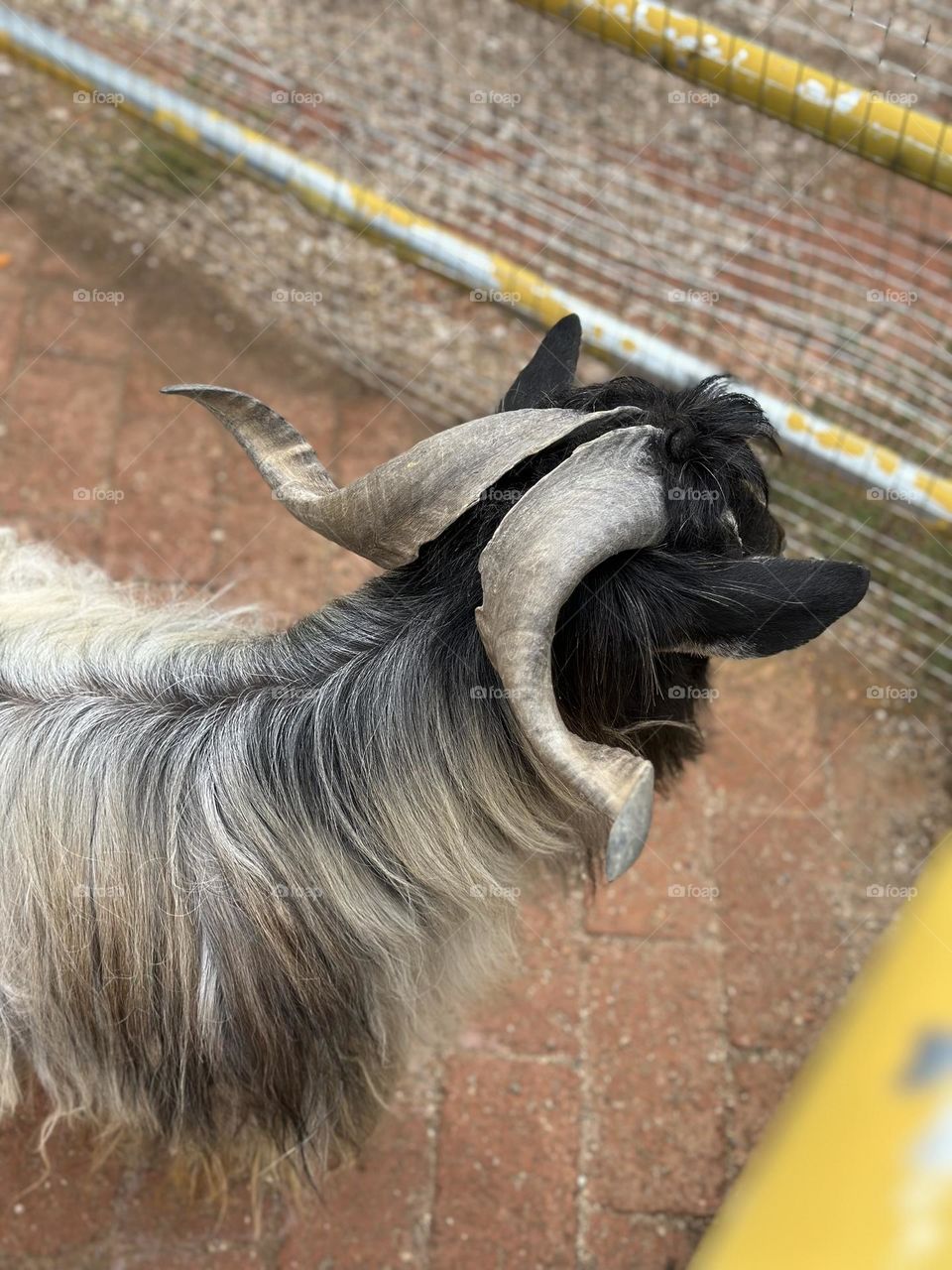 August 19, 2024 | Ulanqab