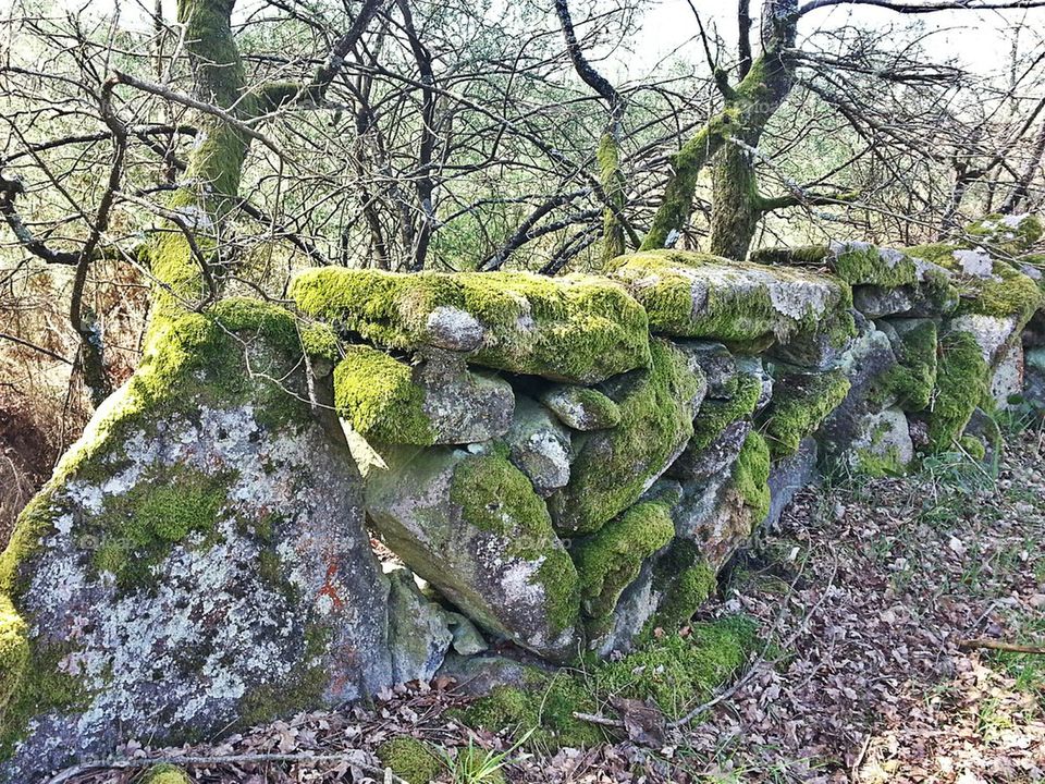 Ancient wall