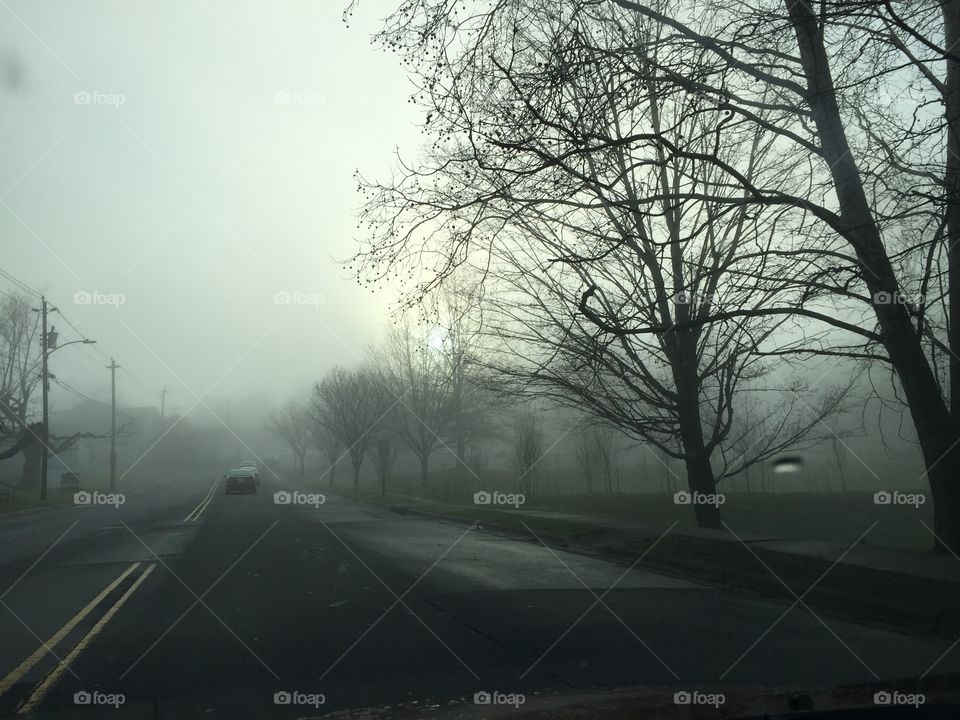 Misty morning drive.