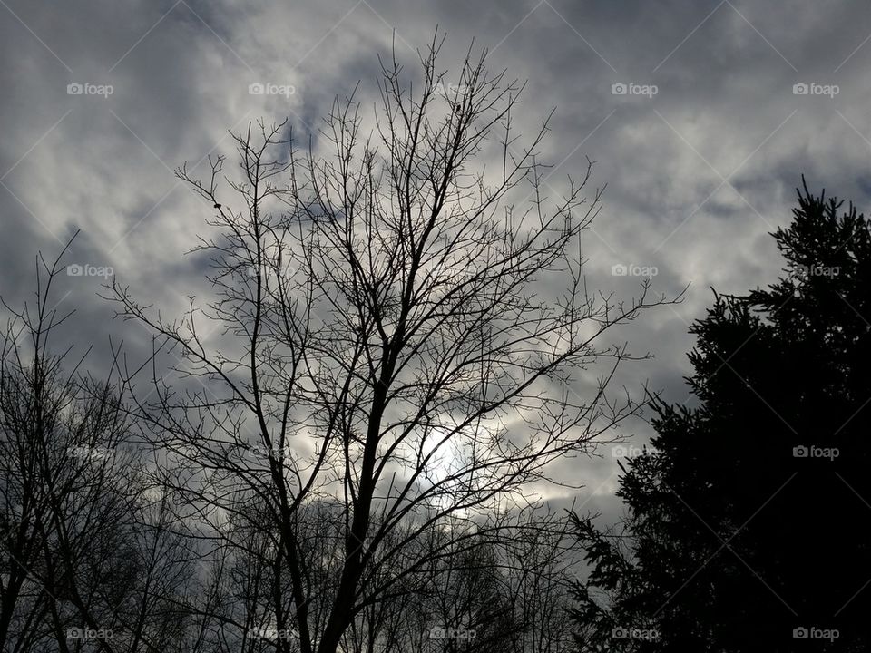 winter clouds