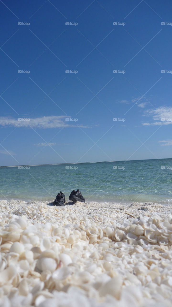 shell beach west australia beach shoes sea by theshmoo