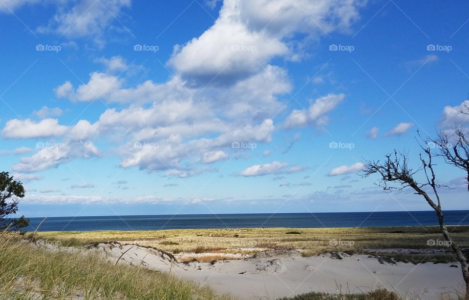 the dunes and the sea