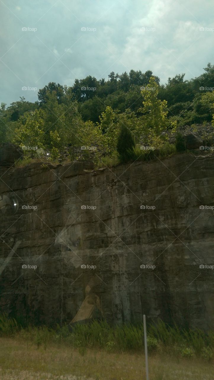 No Person, Landscape, Tree, Nature, Outdoors