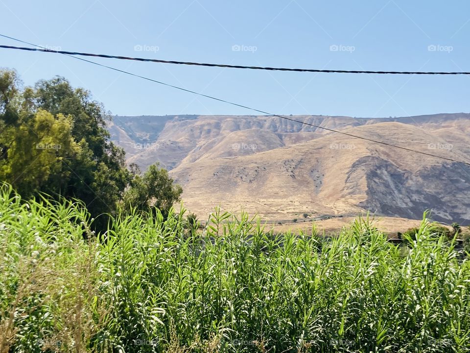 Beautiful nature in Jordan