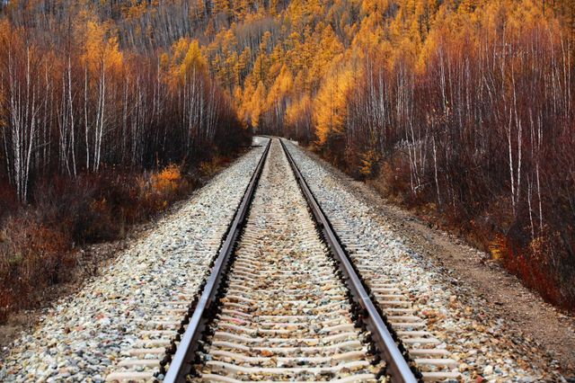 Autumn colors, train road 