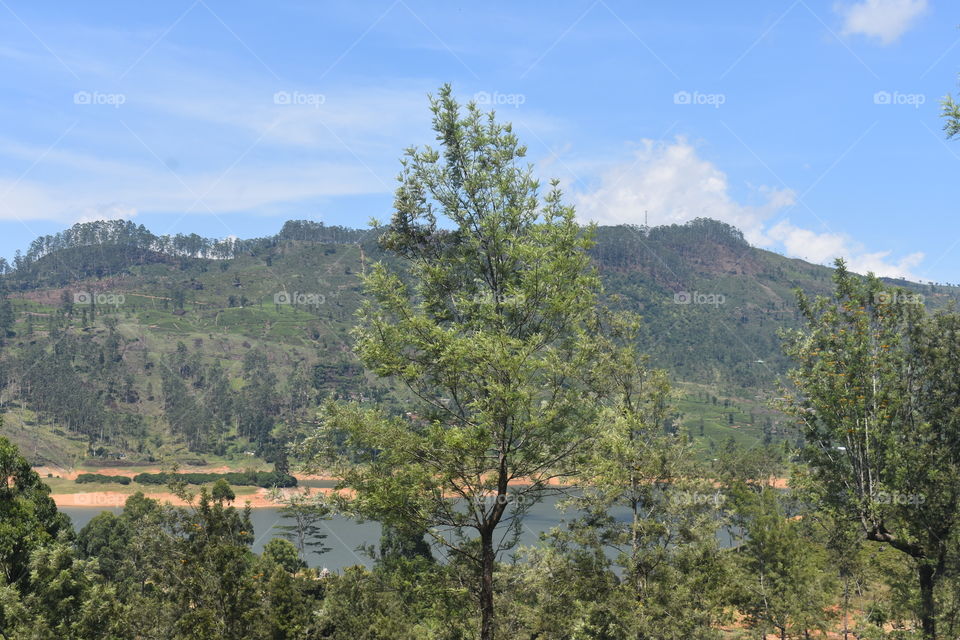 Beautiful mountain range by the side of the reservoir