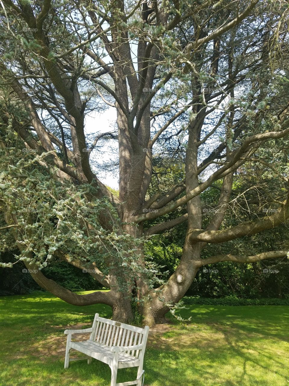 Planting Fields Arboretum State Park, Oyster Bay, NY - August 2017 - Taken on Android Phone - Galaxy S7 - Exploring the Grounds on a Lazy Sunday near the end of Summer