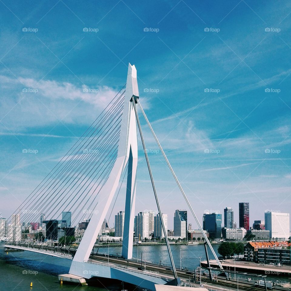 Rotterdam