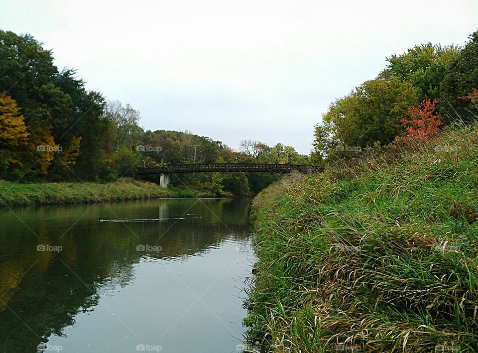 Landscape, Tree, Nature, No Person, Water