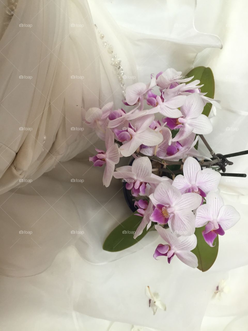 Textures and details of my wedding gown and my orchid bouquet on my anniversary 1 year later 