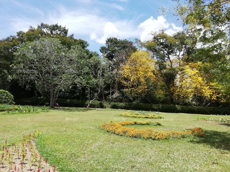 Beautiful sceneries at the botanical Garden