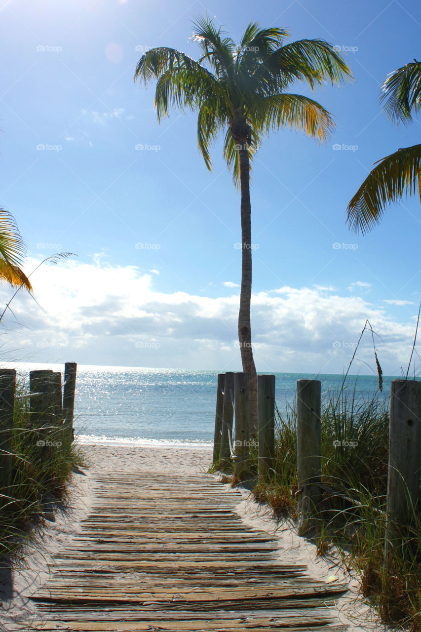 Boardwalk to the beach