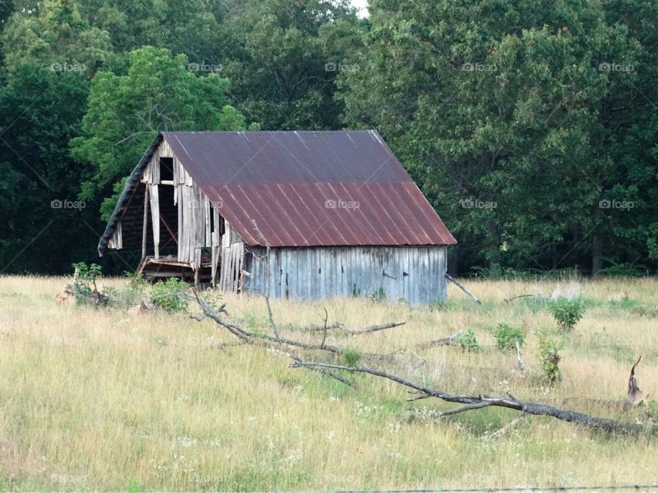Old barn 