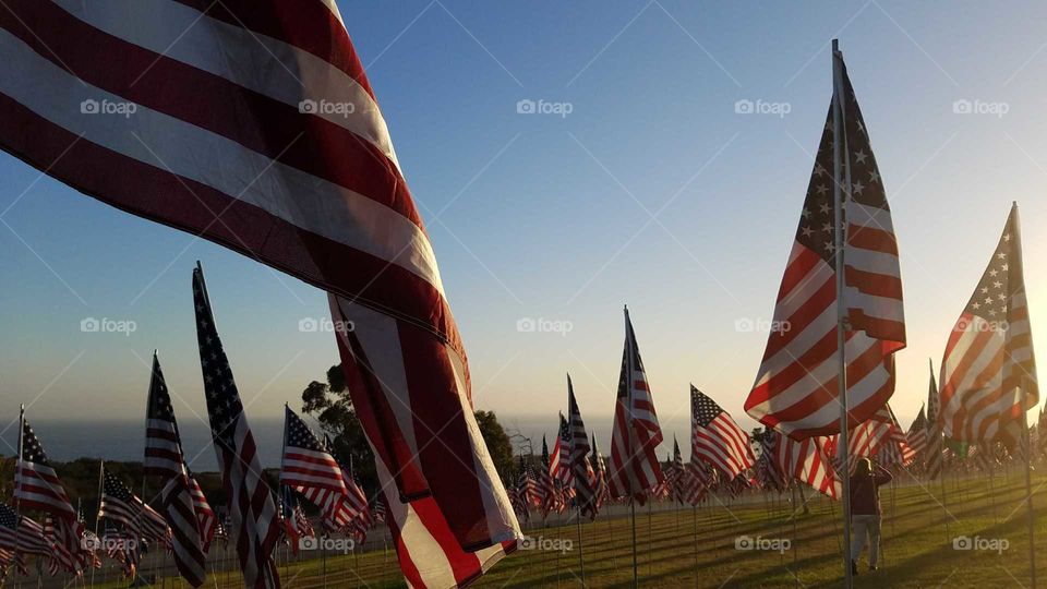 flags and the Pacific Ocean