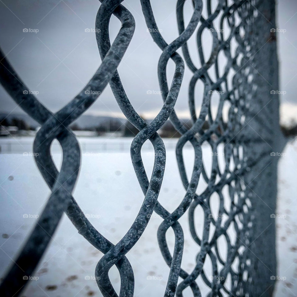 Fence. In the snow