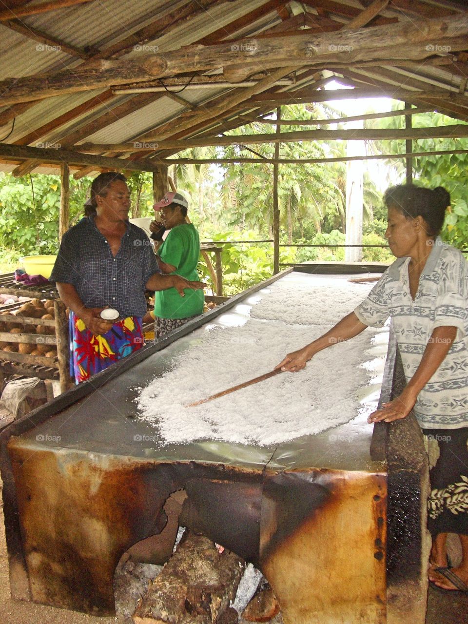 Hand-grind coconuts for producing oil