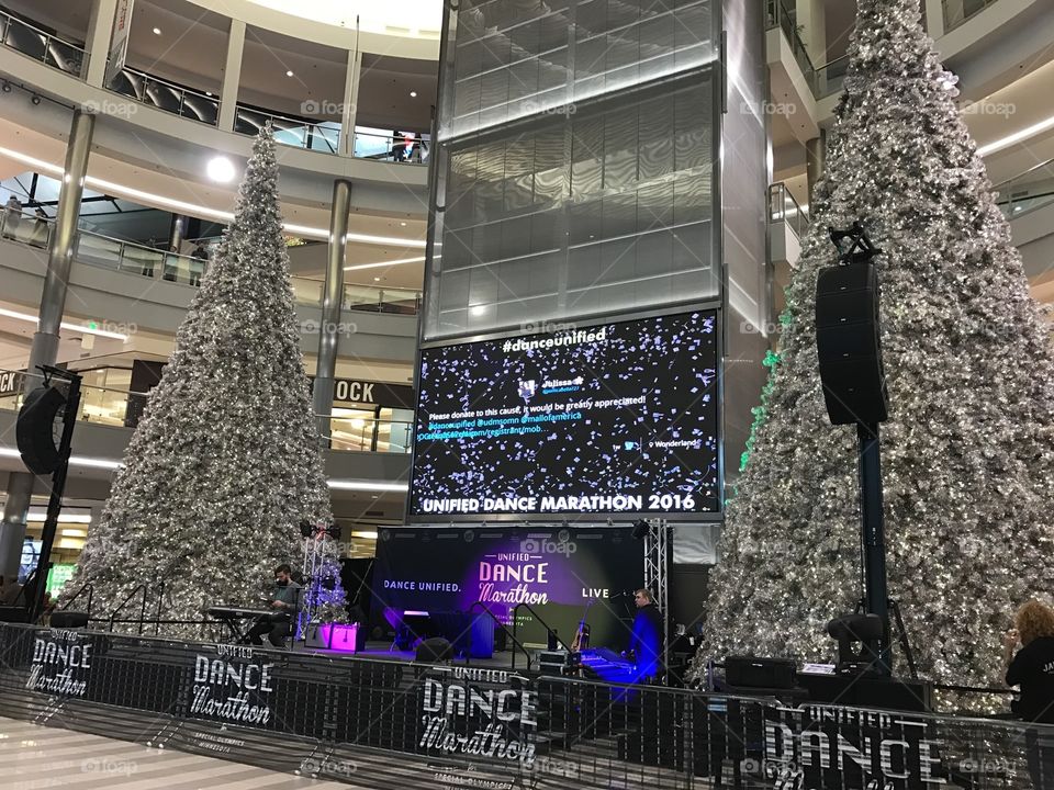 Christmas in Minneapolis the mall of America