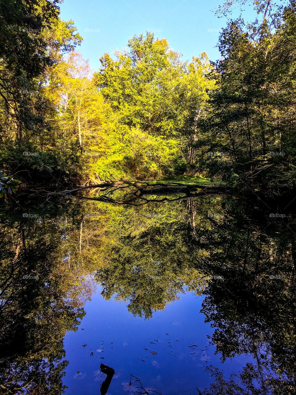 St. Patrick's Park, South Bend IN