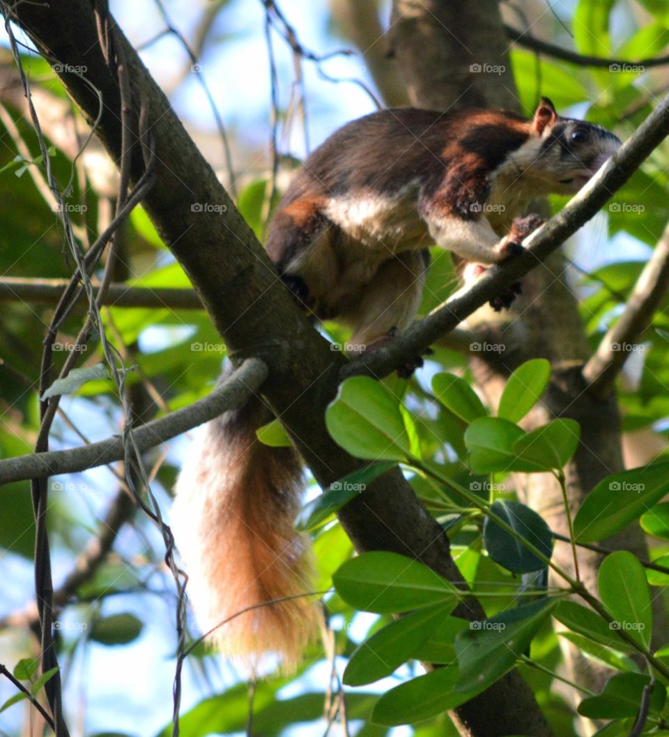 on the way home 🏠