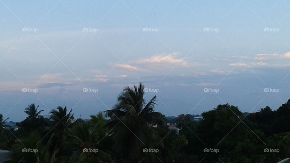 sky and clouds disng