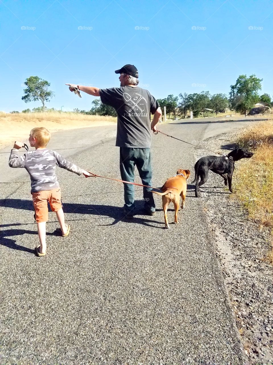 Father and son walking dogs and pointing