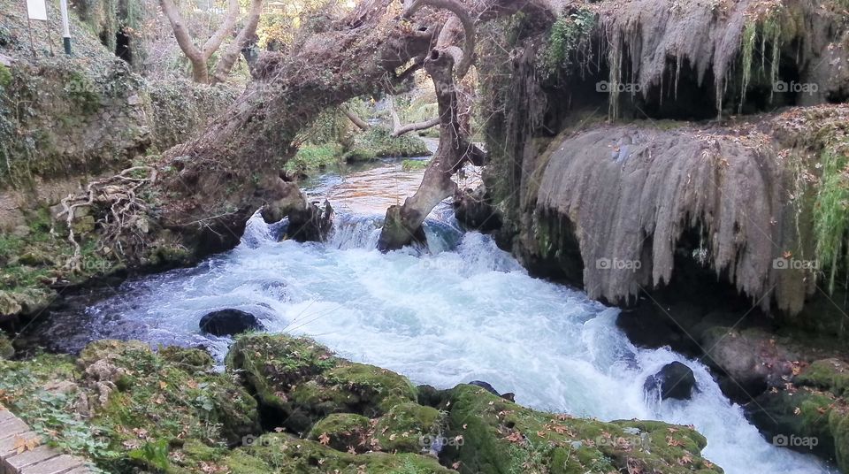 Water stream flowing in forest