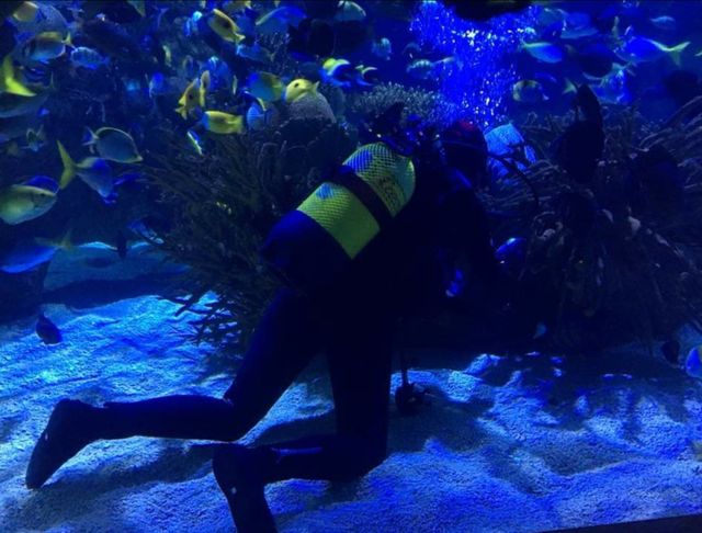 oceanografic