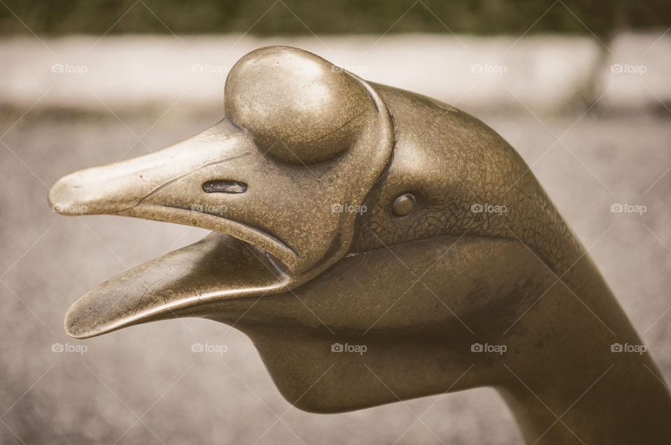 Brass duck