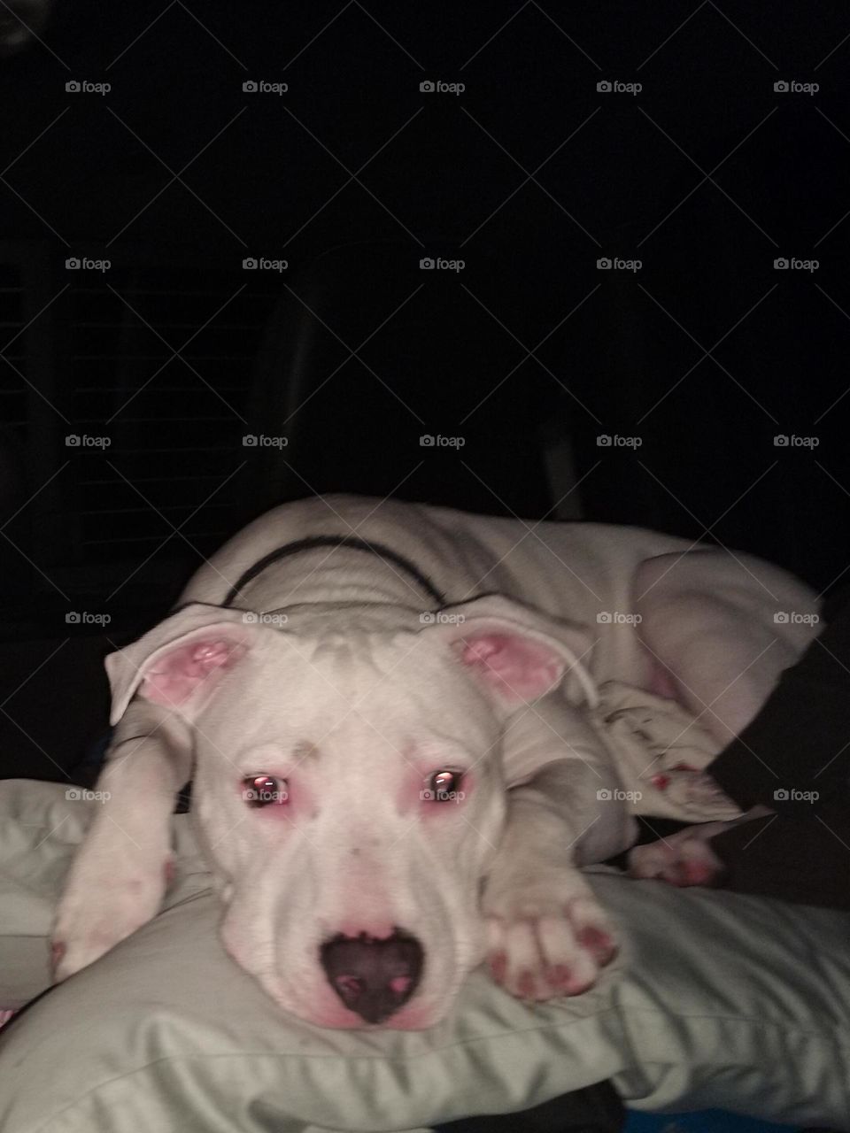 Is It Bed Time !!!!!!