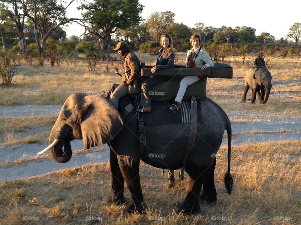 African Elephant Ride. Family vacation at Abu Elephant Camp in Botswana, Africa. Mother daughter elephant ride. Bucket list. 