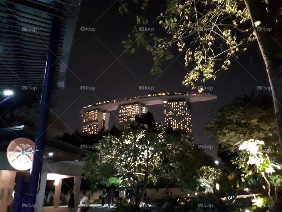 Singapore Night