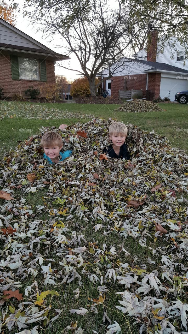 leaf pile. racking the leaves