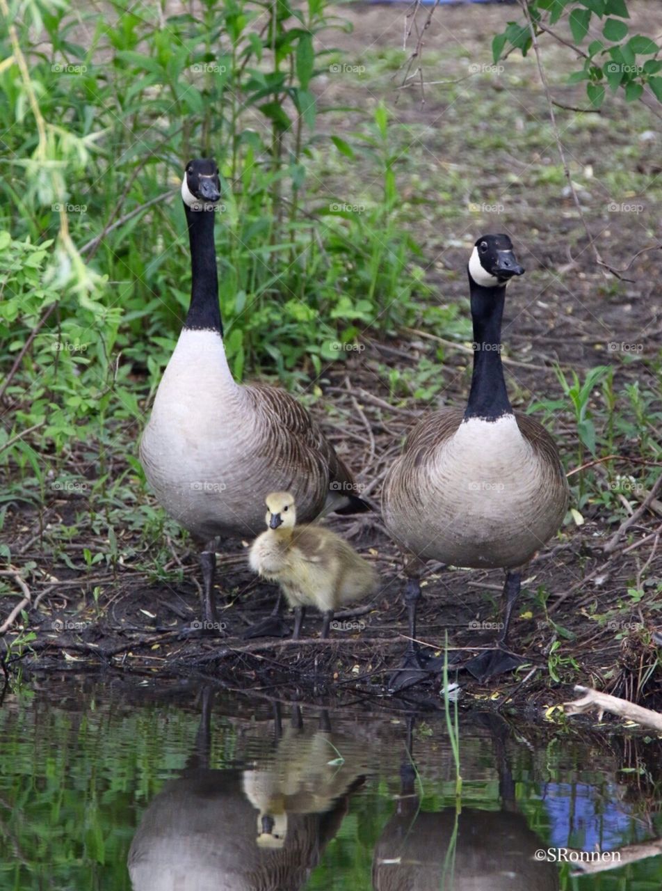 Family portrait