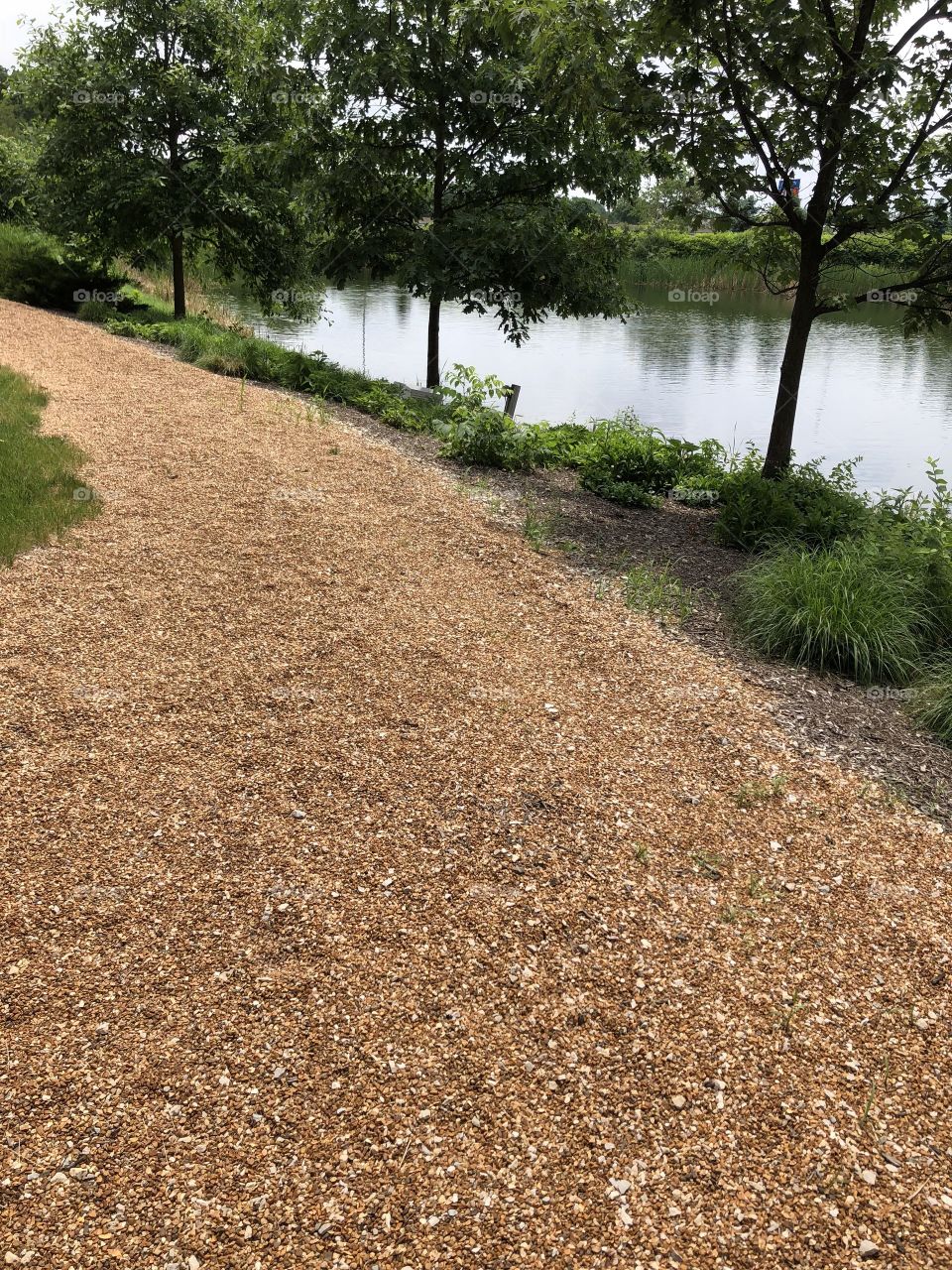 Walking Trail by the Pond