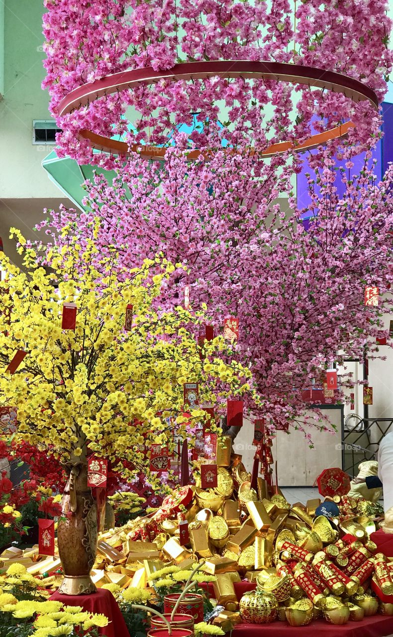 Chinese Luna Year Of The Dog Celebrations 