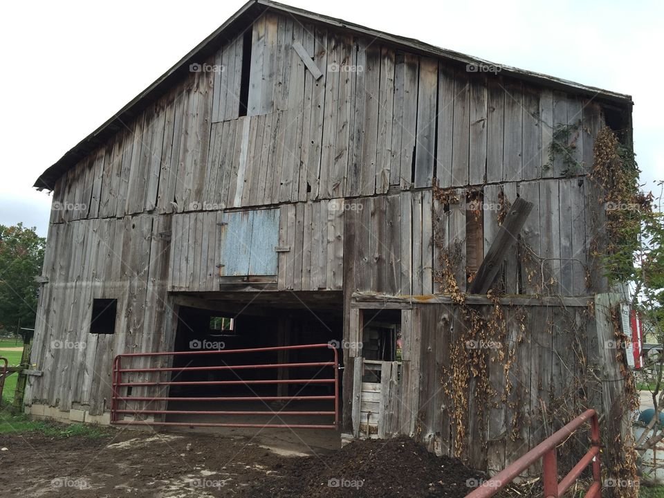 Barn. Barn