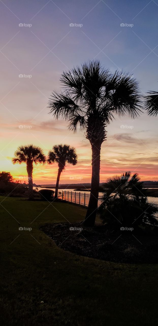 The Intracoastal at OIB