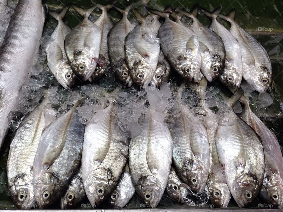 Fresh fish in fresh food market