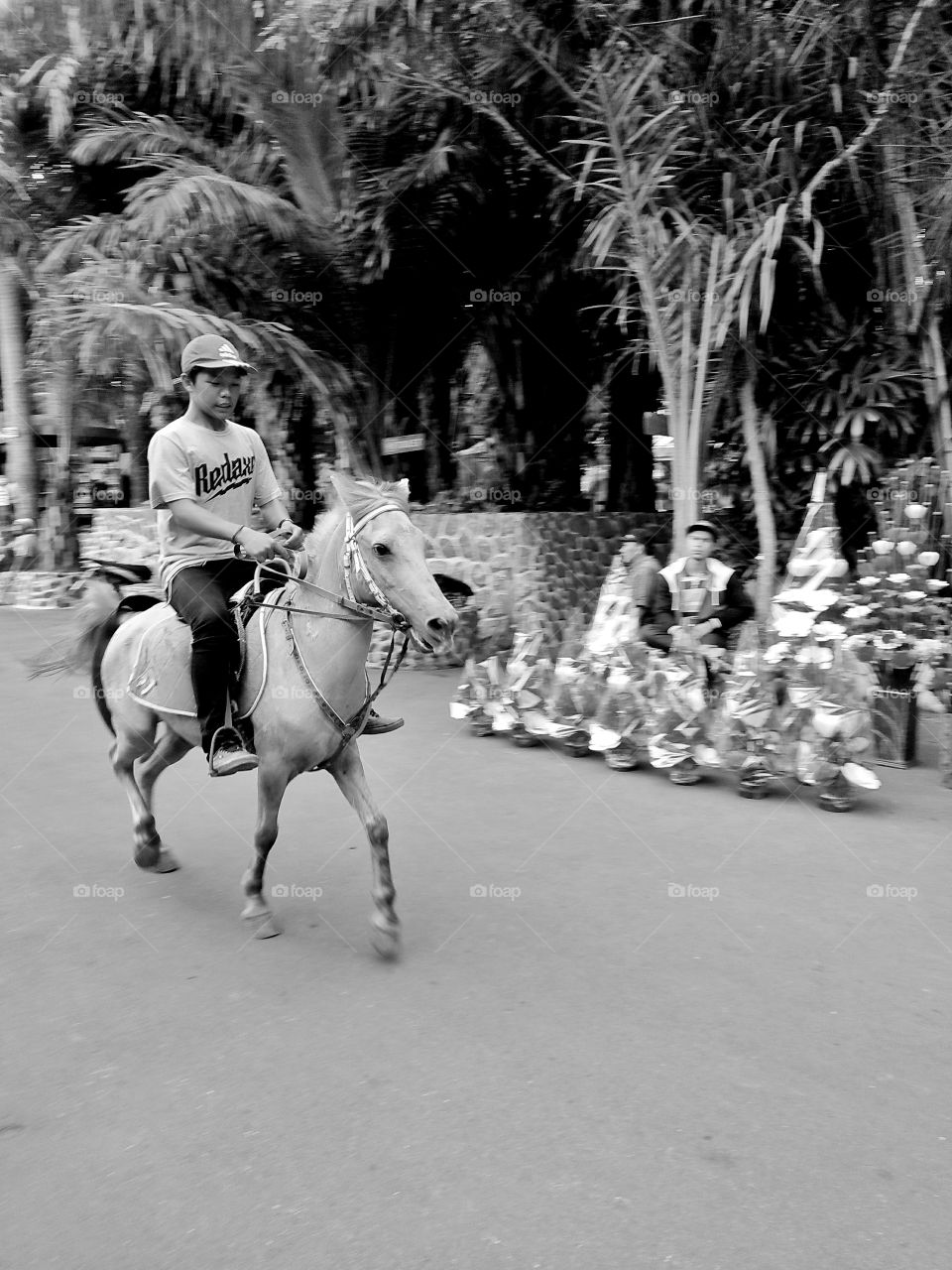 Horse rider on the street