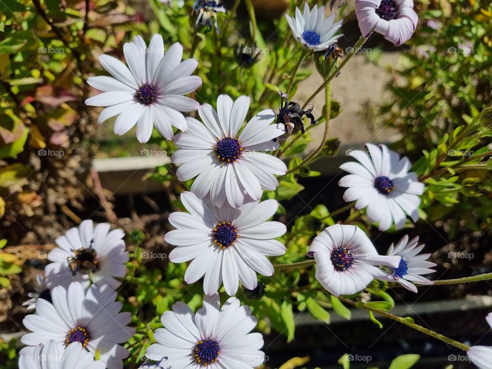 Unexpected days when you see it🤭