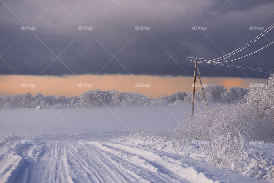 Misty winter road