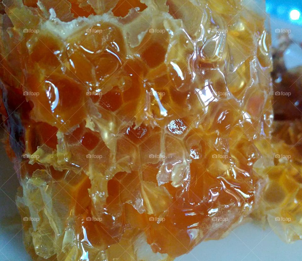 Close-up of a honeycomb