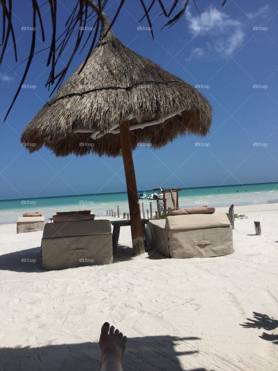 Palapa and sun beds