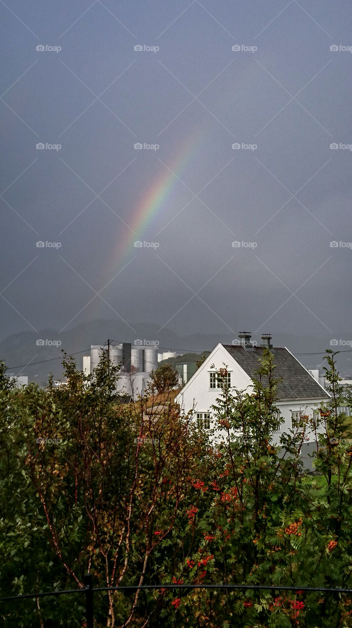 beautiful Rainbow