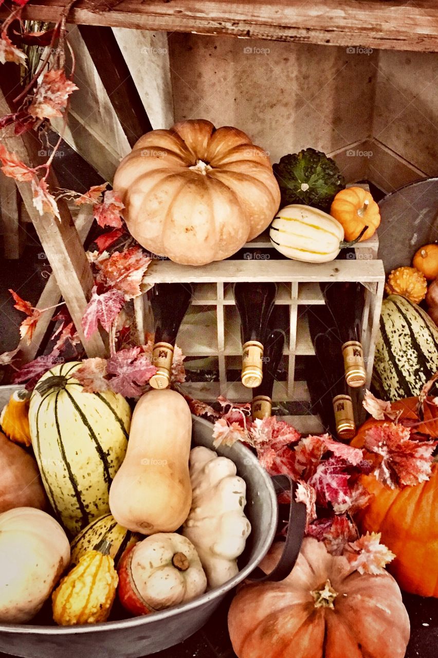 Autumn harvest in the Dutch style