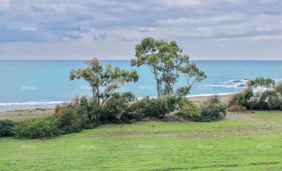 Some times we need quite place for rest 