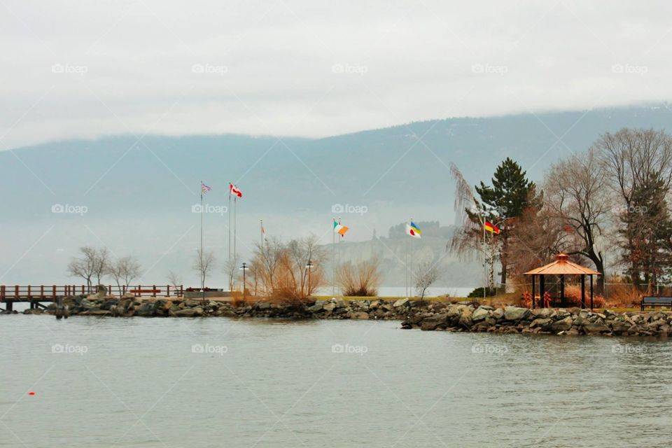 Water, Tree, Lake, River, Landscape